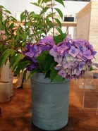 IMG_4666.jpg