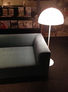 IMG_3921.jpg