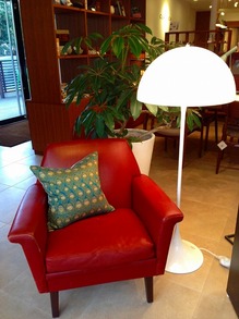 IMG_3951.jpg