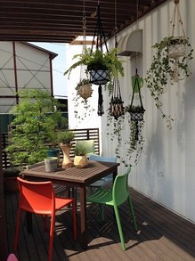 IMG_4419.jpgのサムネイル画像